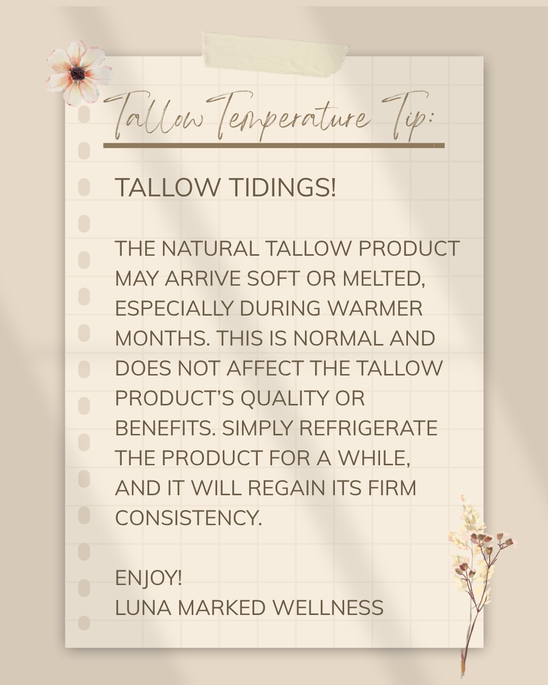 Silk & Tallow - Whipped Tallow 4 oz jar